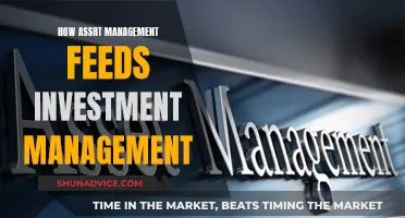 Asset Management: Feeding Investment Strategies for Success