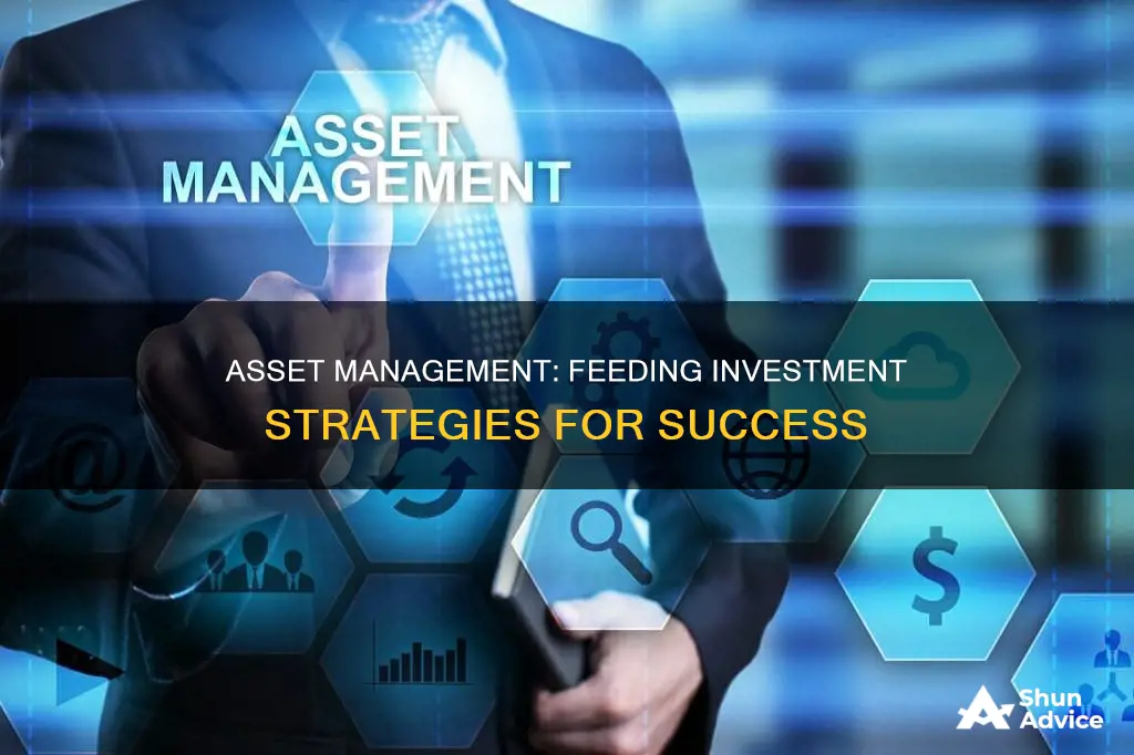 how assrt management feeds investment management