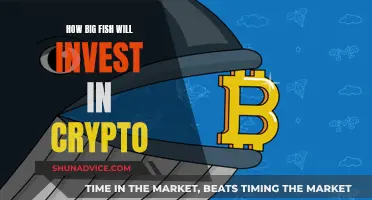 Big Fish Crypto Investment Strategies: Unlocking Opportunities