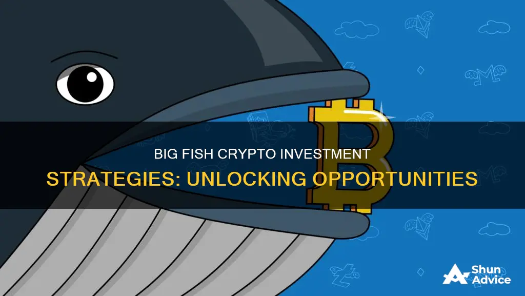 how big fish will invest in crypto