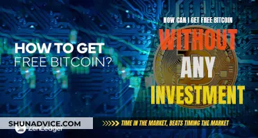 Get Free Bitcoin: Easy Ways to Earn Without Investment