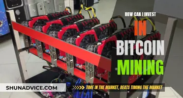 The Pros and Cons of Bitcoin Mining Investments