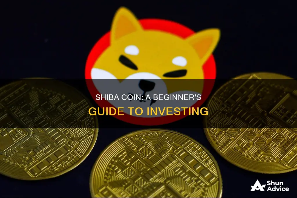 how can I invest in shiba coin