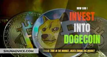 Dogecoin Investment: A Beginner's Guide to Getting Started