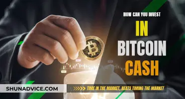 The Ultimate Guide to Investing in Bitcoin Cash