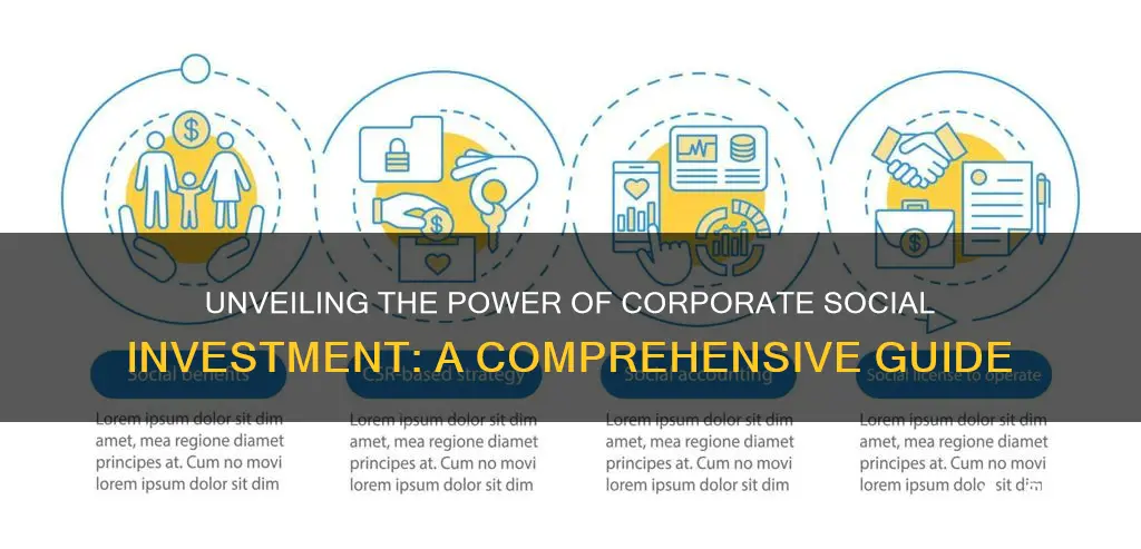 how corporate social investment works