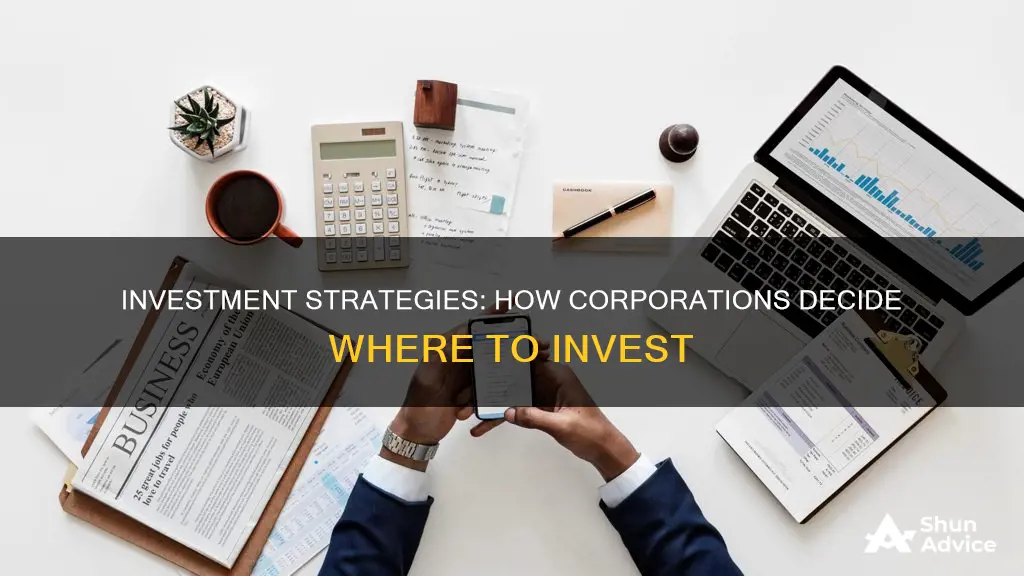 how corporations make investment decisions