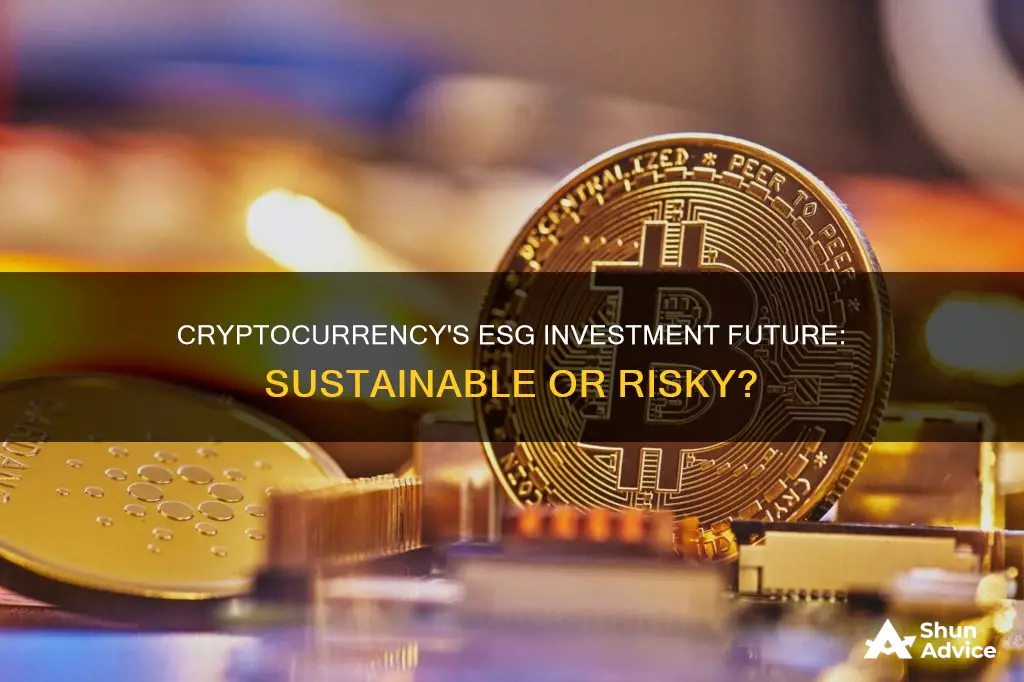 how cryptocurrencies aligns to esg investments