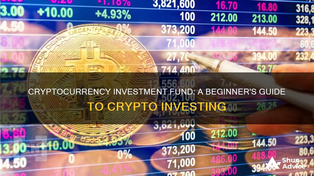 how cryptocurrency investment fund