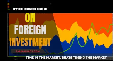 Foreign Investment's Impact: Shaping Nations' Economic Fate