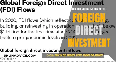 Globalisation's Impact: Unlocking FDI's Potential and Challenges