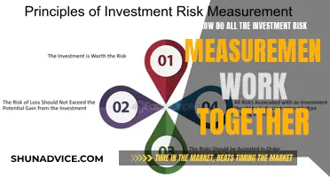 Unraveling the Web: How Investment Risks Interconnect and Measure Up