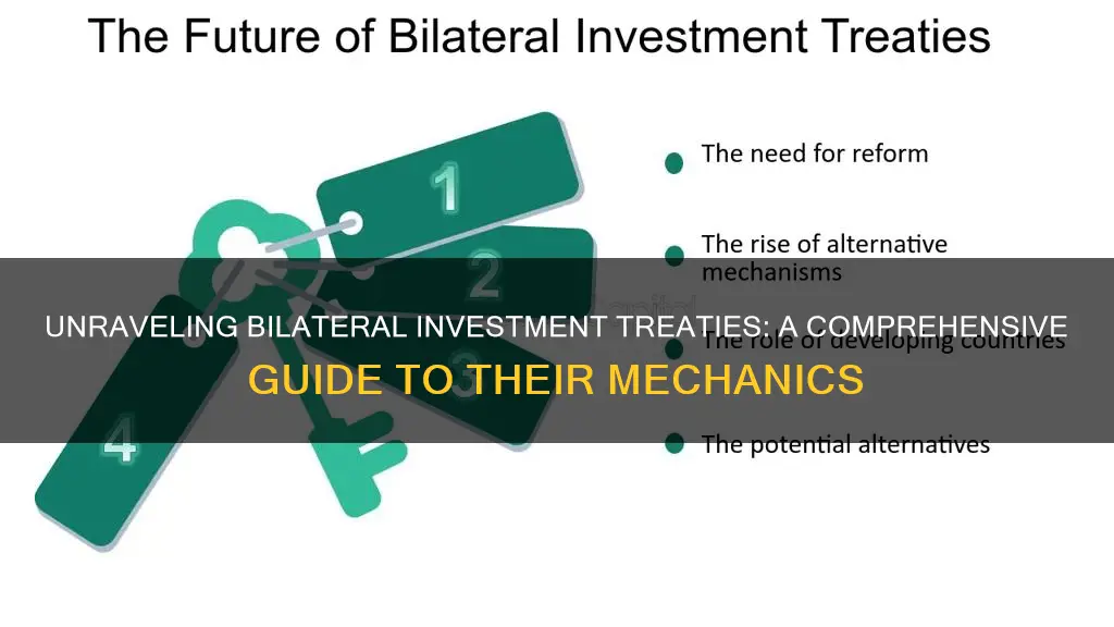 how do bilateral investment treaties work