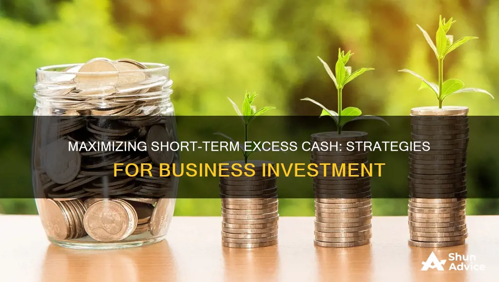 how do business invest short term excess cash