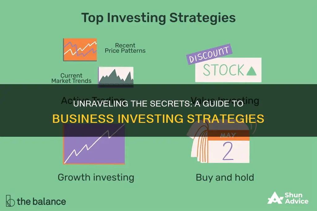 how do business investers work