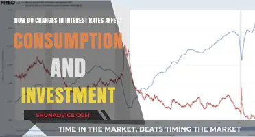 Interest Rate Shifts: Unlocking Consumption and Investment Secrets