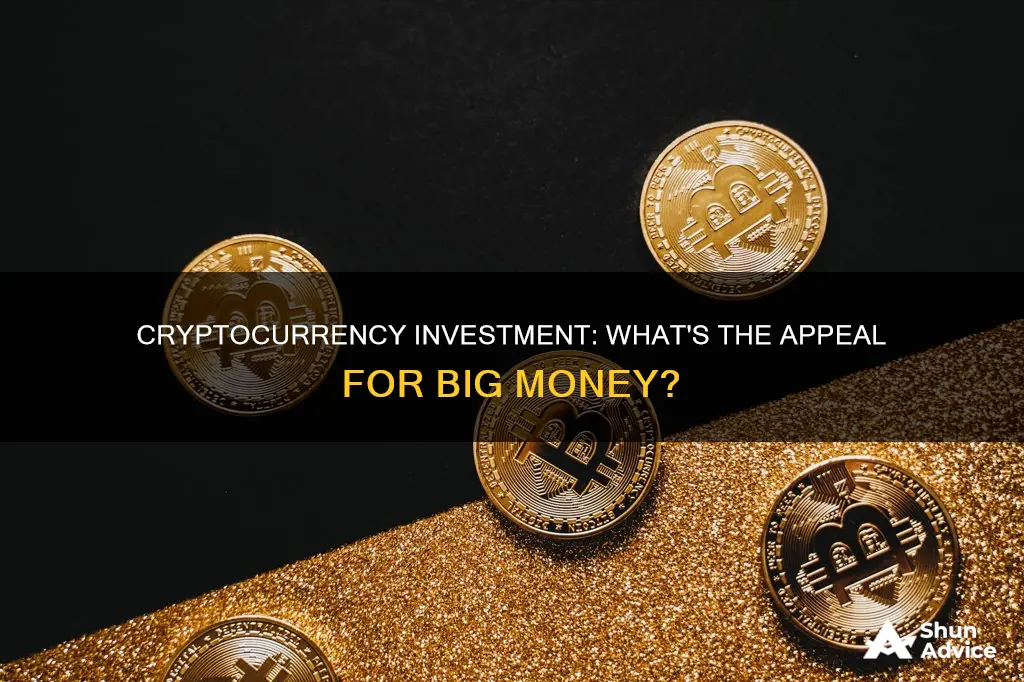 how do cryptocurriences attract large investments