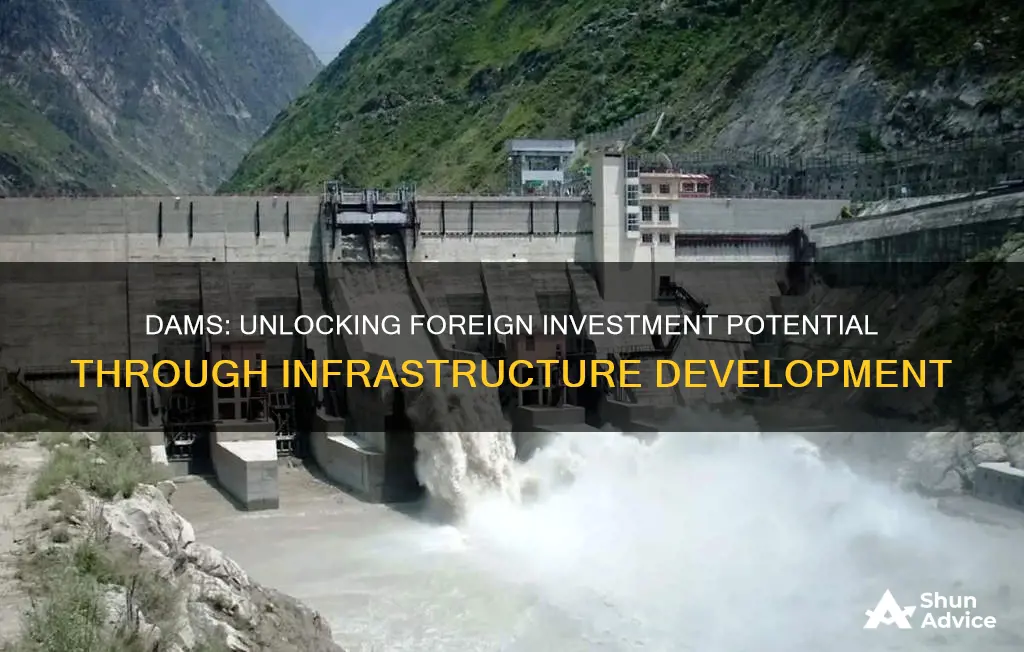 how do dams encourage foreign investment