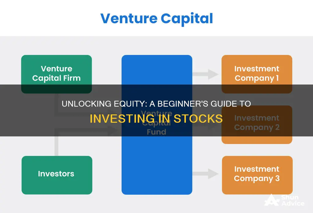 how do equity investments work