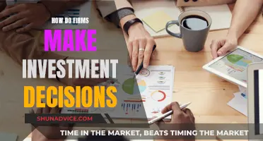 Investment Decisions: How Firms Strategize Their Capital