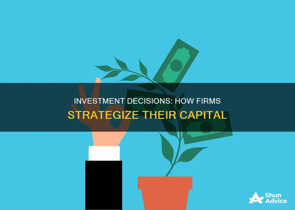 how do firms make investment decisions