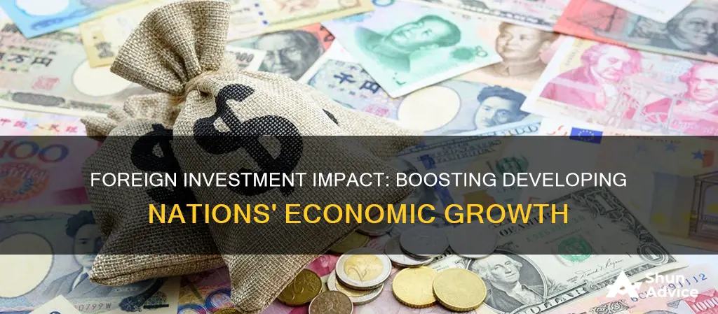 how do foreign investments affect the economy of developing countries