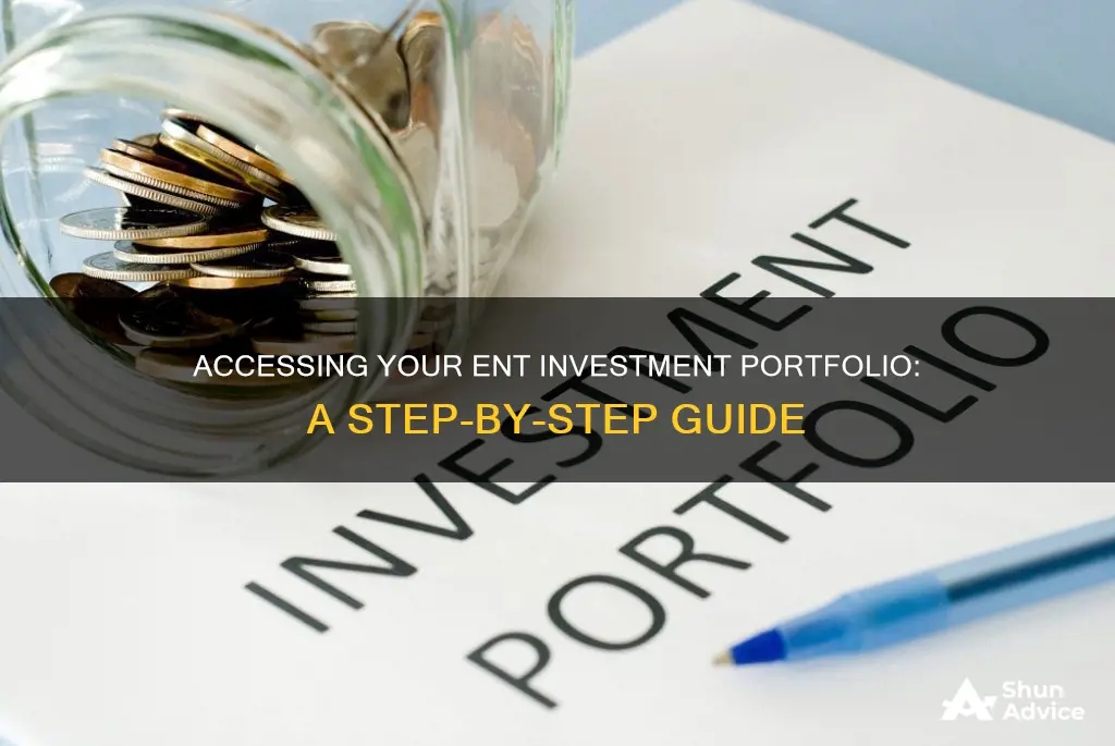 how do I access my ent investment portfolio