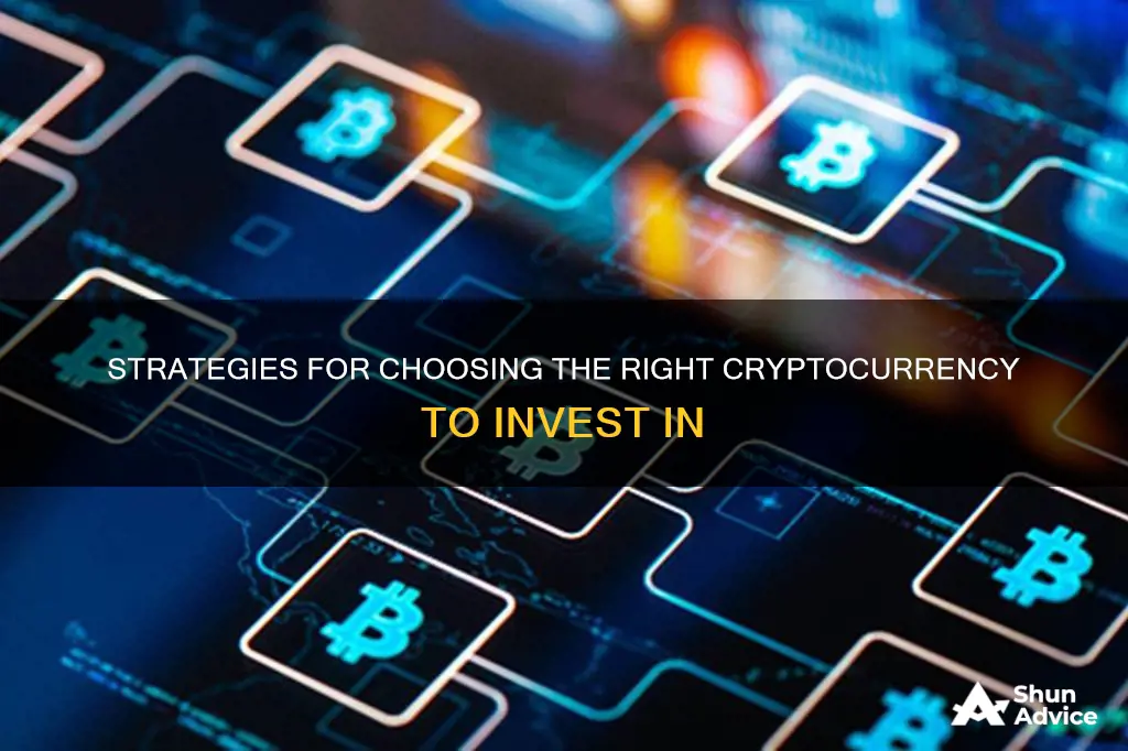 how do I choose a cryptocurrency to invest in