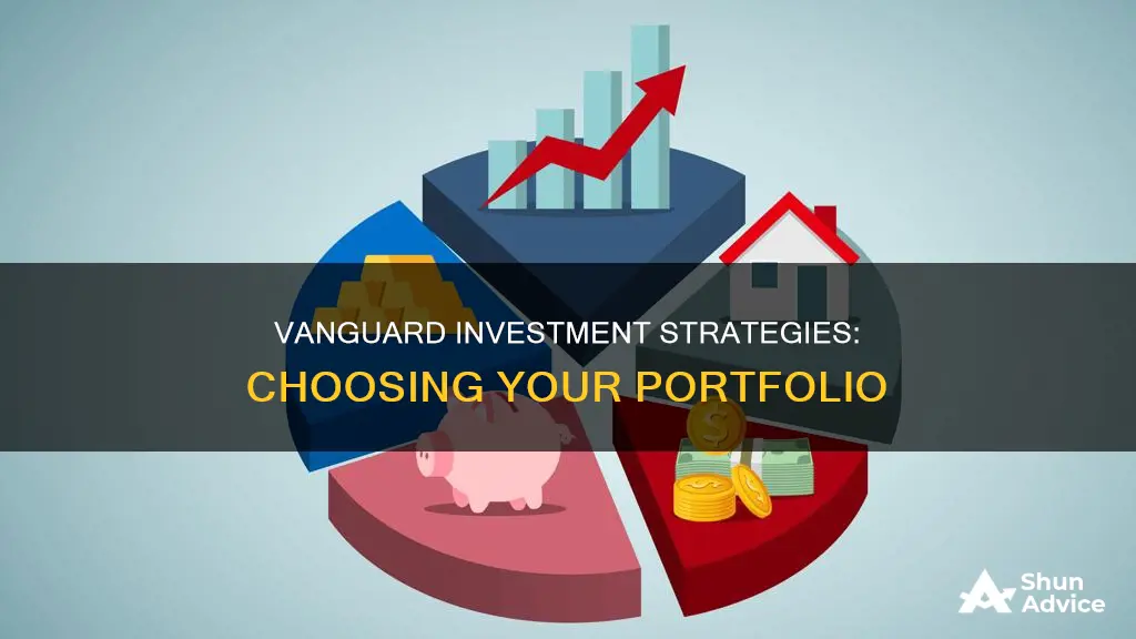 how do I choose my investment portfolio vanguard