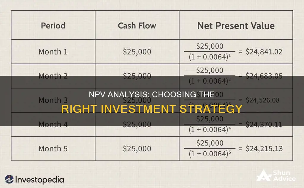 how do I choose over two investments using npv