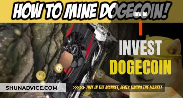 Dogecoin Investment Guide: Getting Started and Strategies