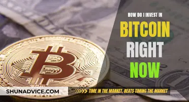 The Ultimate Guide to Investing in Bitcoin Now