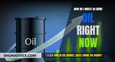 Crude Oil: Invest Now?