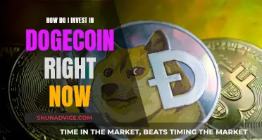 Doge Investment: How to Buy Now