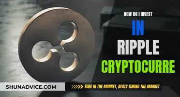 A Beginner's Guide to Investing in Ripple Cryptocurrency