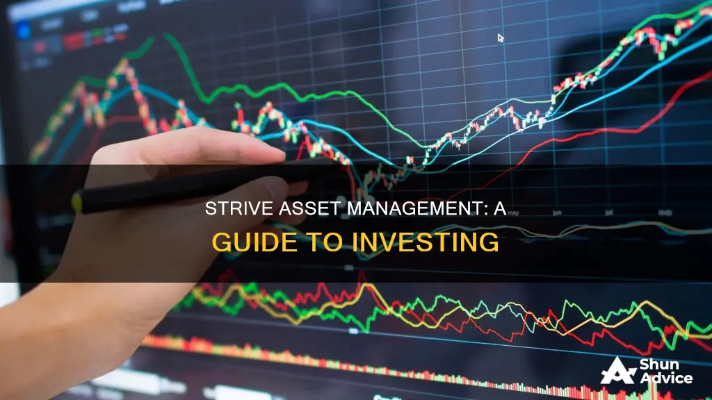 how do I invest in strive asset management