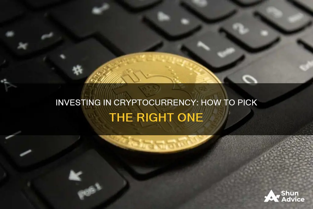 how do I know what cryptocurrency to invest in