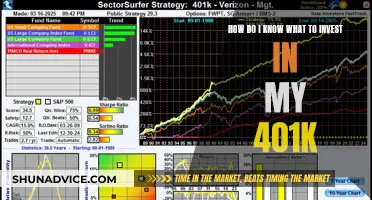 Navigating Your 401(k) Choices: Strategies for Smart Investing