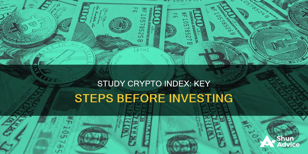 how do I study the crypto coin index before investing