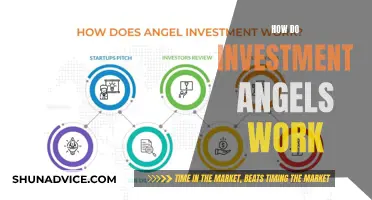 Unveiling the Role of Investment Angels: How They Support Startups