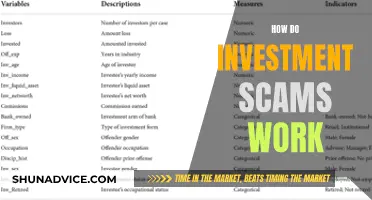 Unveiling the Tricks: How Investment Scams Manipulate Victims