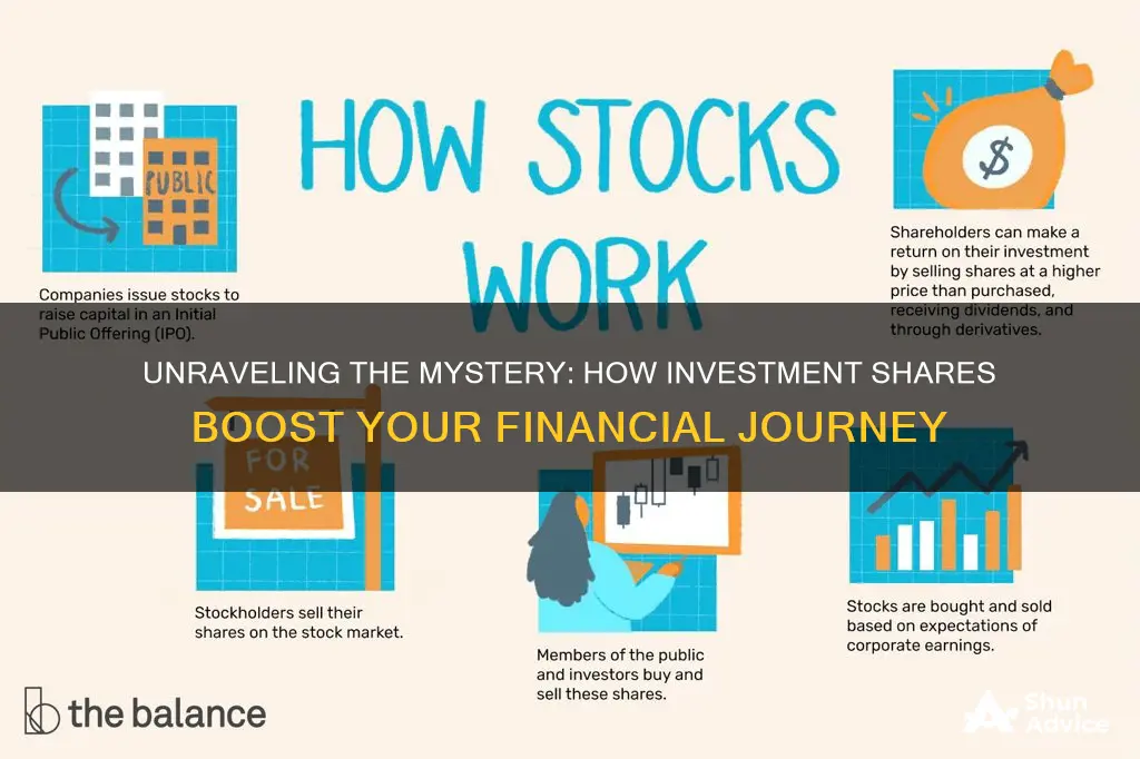 how do investment shares work