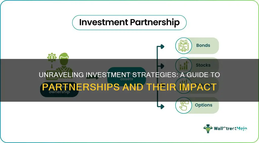 how do investments and partnerships work