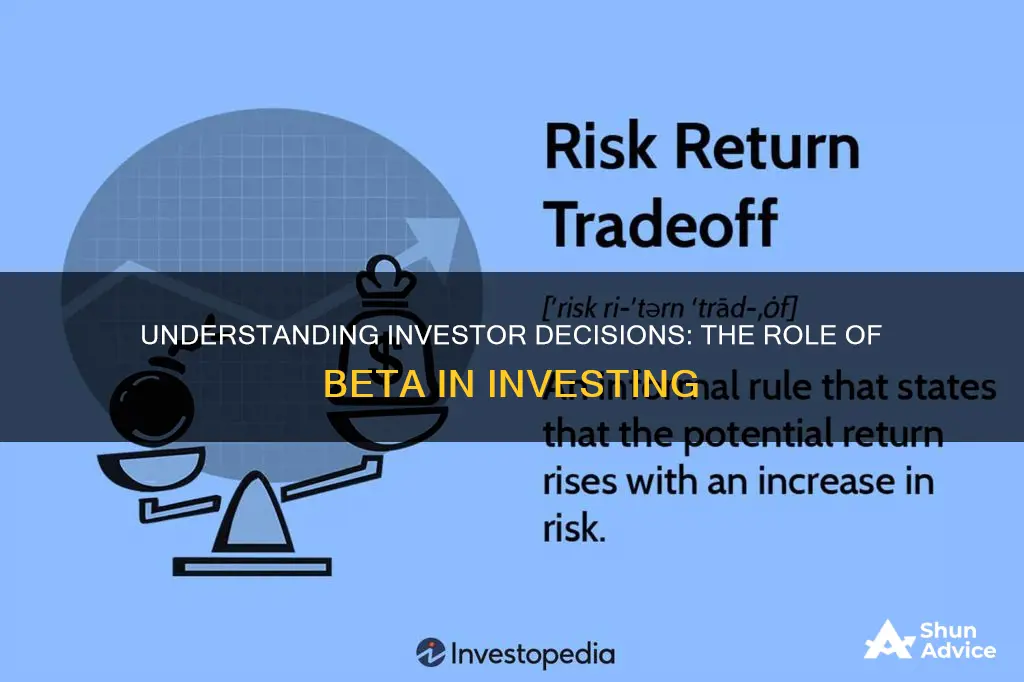 how do investors make investment decisions based on beta