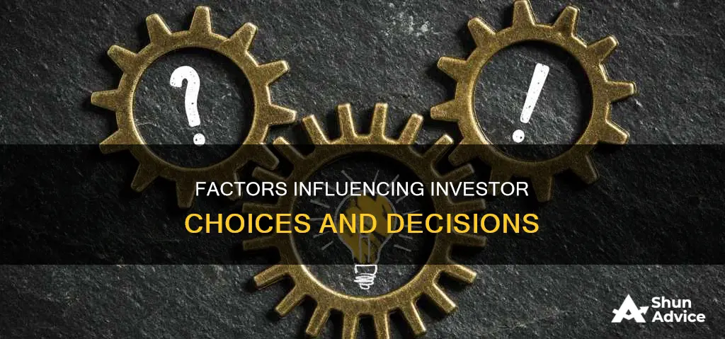 how do investors make investment decisions