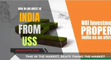 NRIs: Investing in India from the US