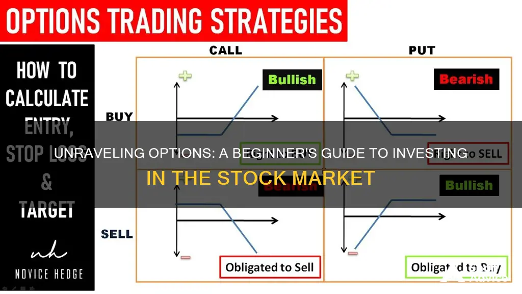 how do options work investing