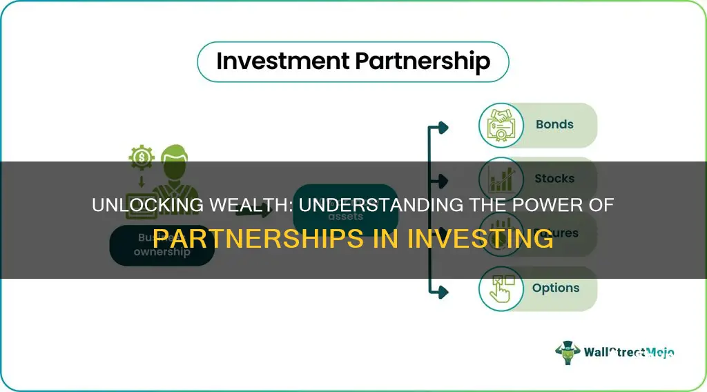 how do partnership work investing wise