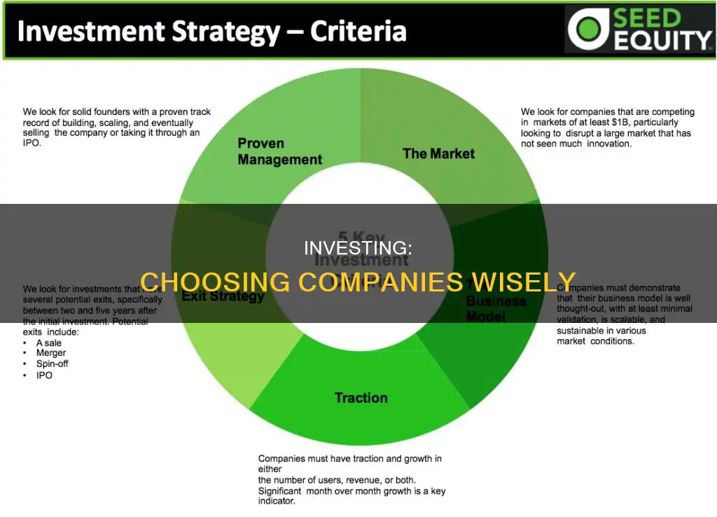 how do people choose what compaies to invest in