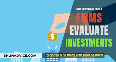 Private Equity Investment Evaluation: Strategies for Success